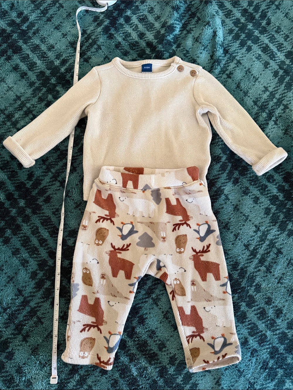 GAP Cream Knit Sweater with Neutral Woodland Pants
